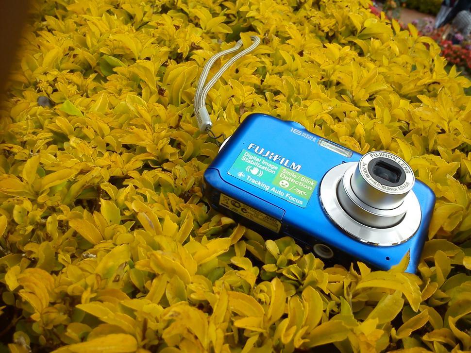 Free Image of Focus 