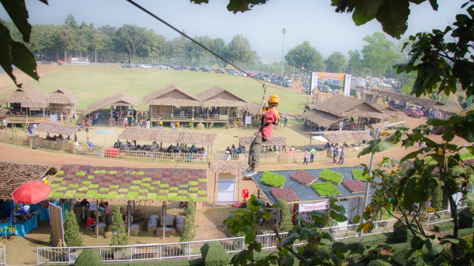 Free Image of Zipline Activities 
