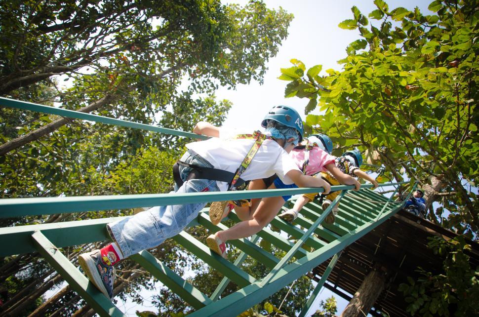 Free Image of Zipline Activities 