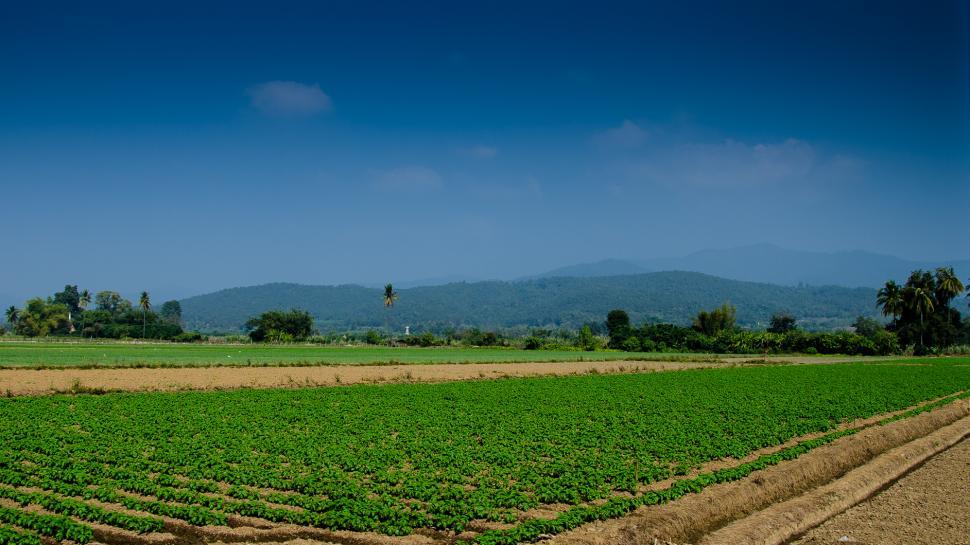 Free Image of Chiang Mai, Thailand 
