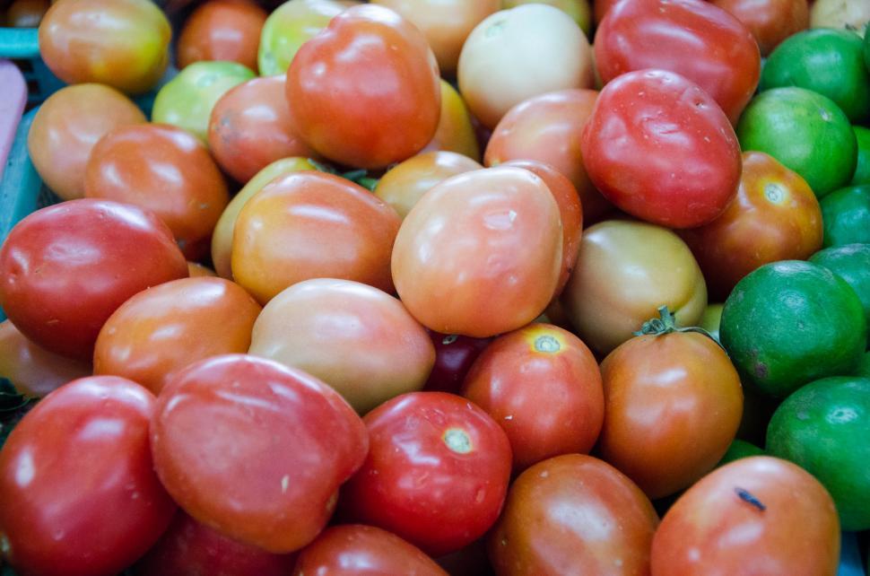 Free Image of Local Thai Vegetable 