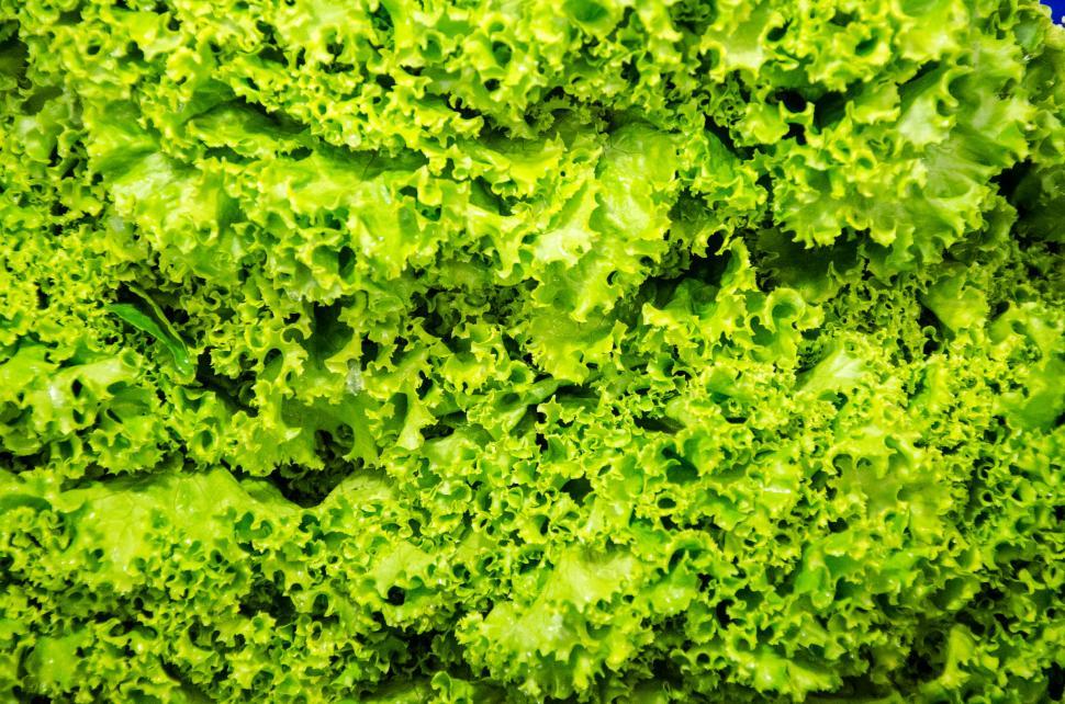 Free Image of Local Thai Vegetable 