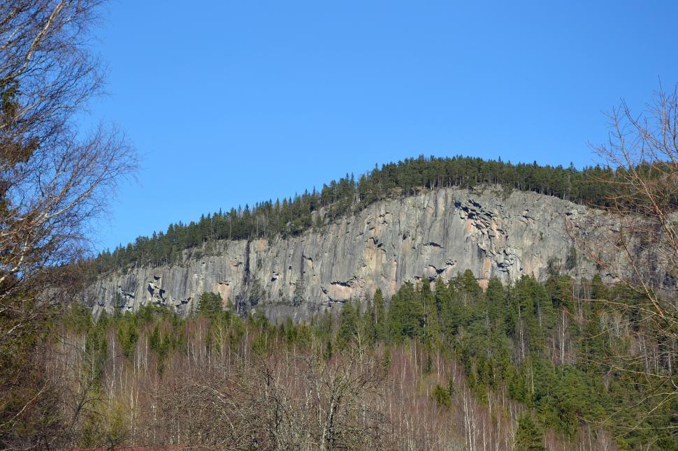 Free Image of The Tyrifjorden lake (Tyri lake) shore 