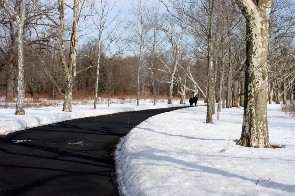 Free Image of Path Through Snow  