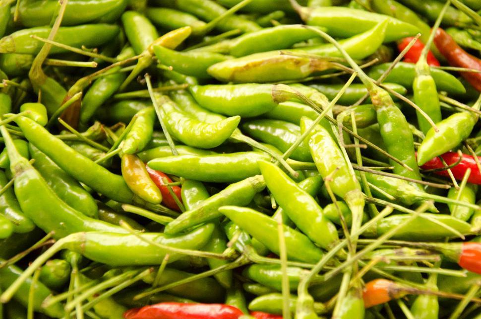 Free Image of Local Thai Chilli 