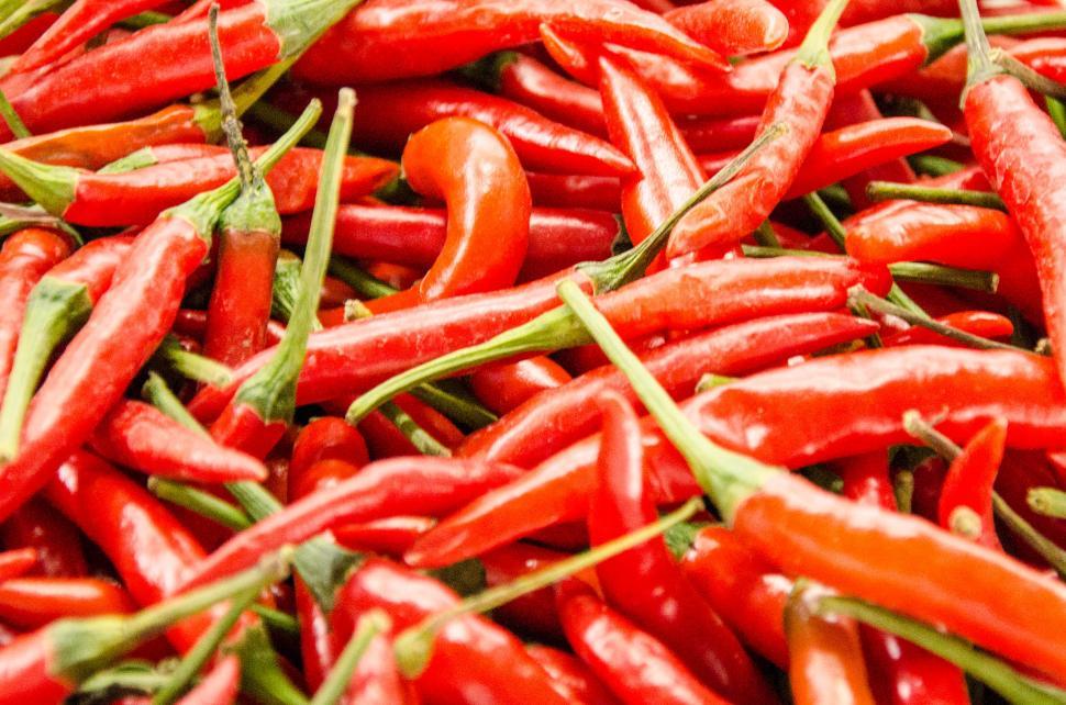 Free Image of Local Thai Chilli 