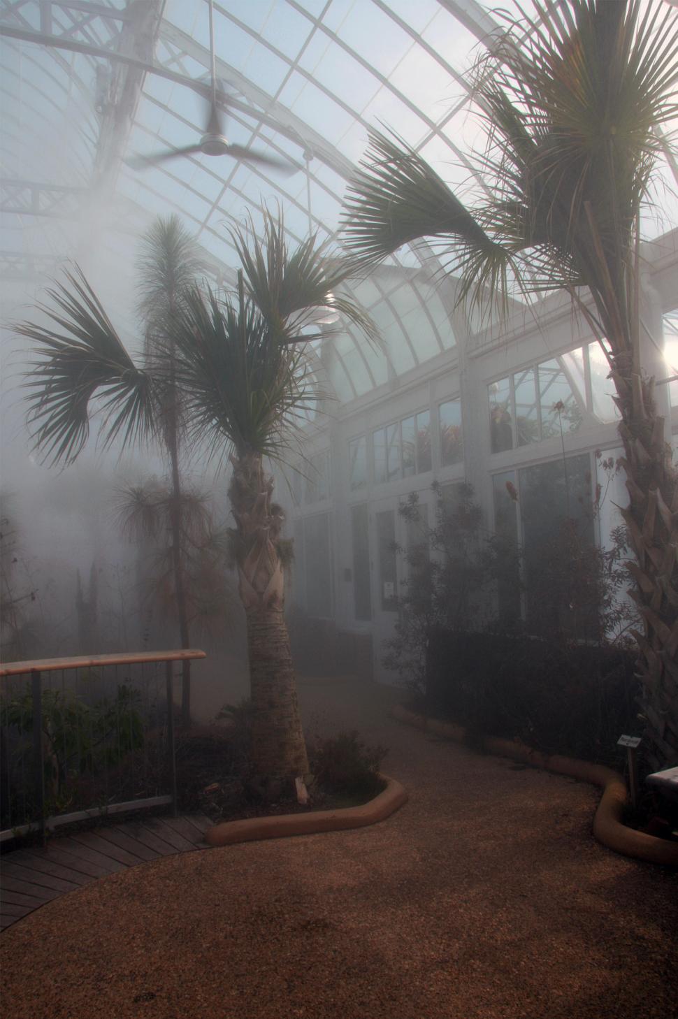 Free Image of Greenhouse Misting 