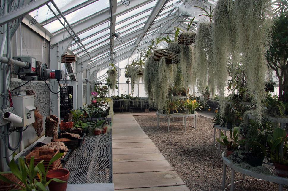 Free Image of Orchid Greenhouse 