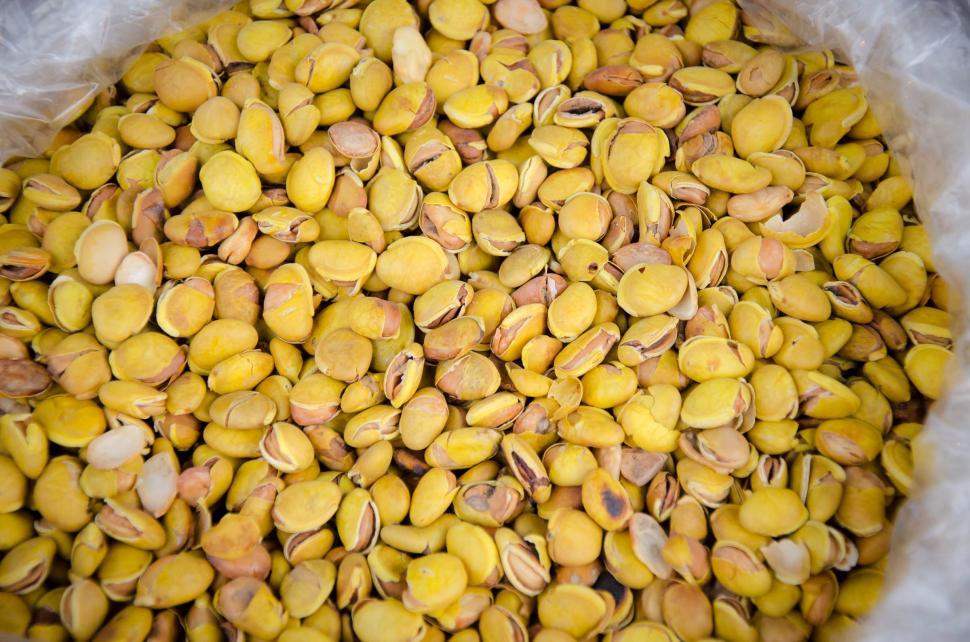 Free Image of Local Thai Bean 
