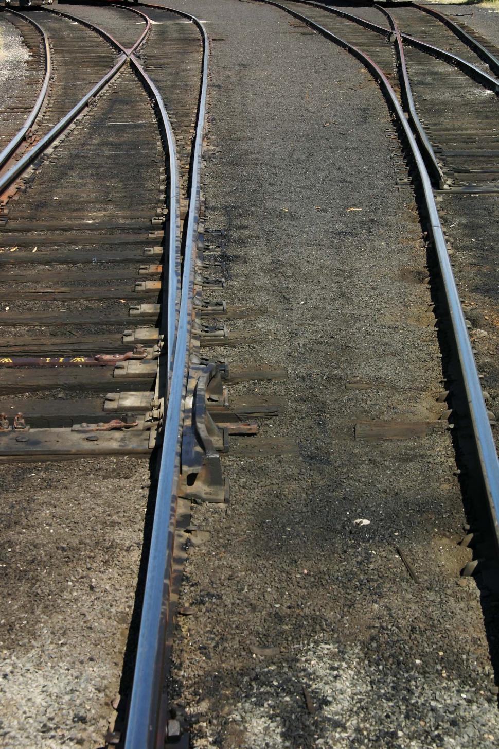 Free Image of Train Traveling Alongside Forest 