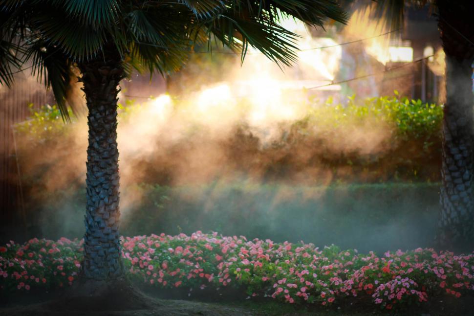 Free Image of Nice Place 