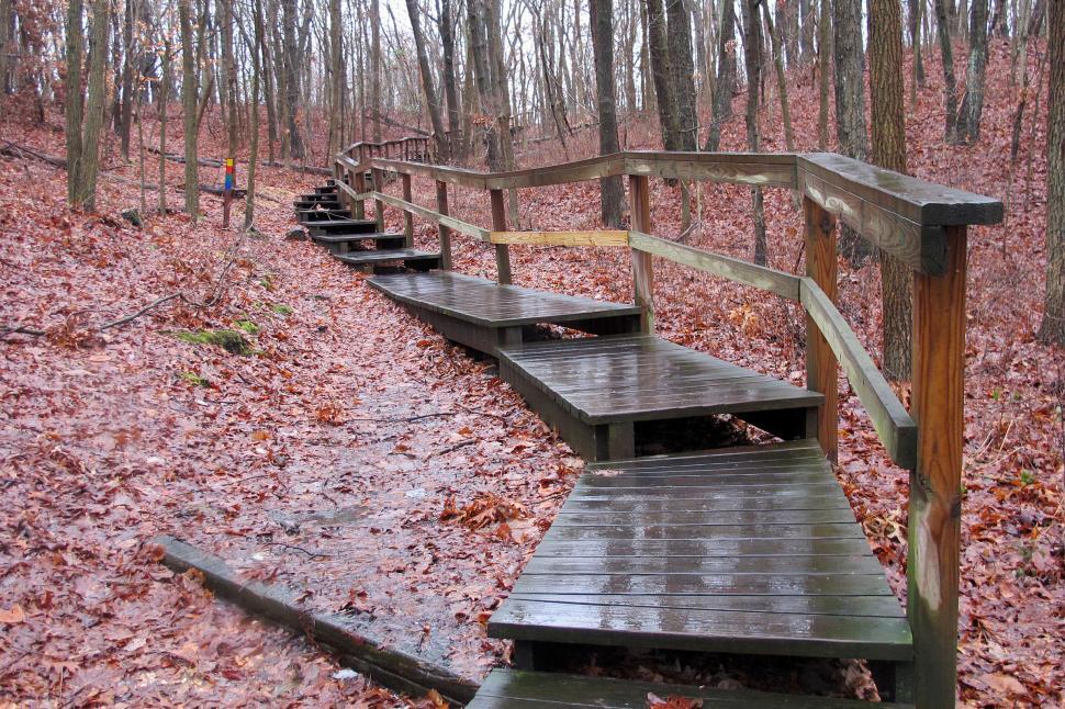 Free Image of Boardwalk in The Rain 