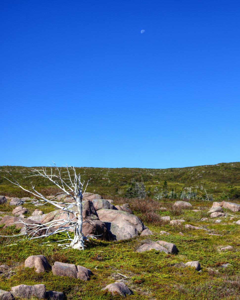 Free Image of Landscape 