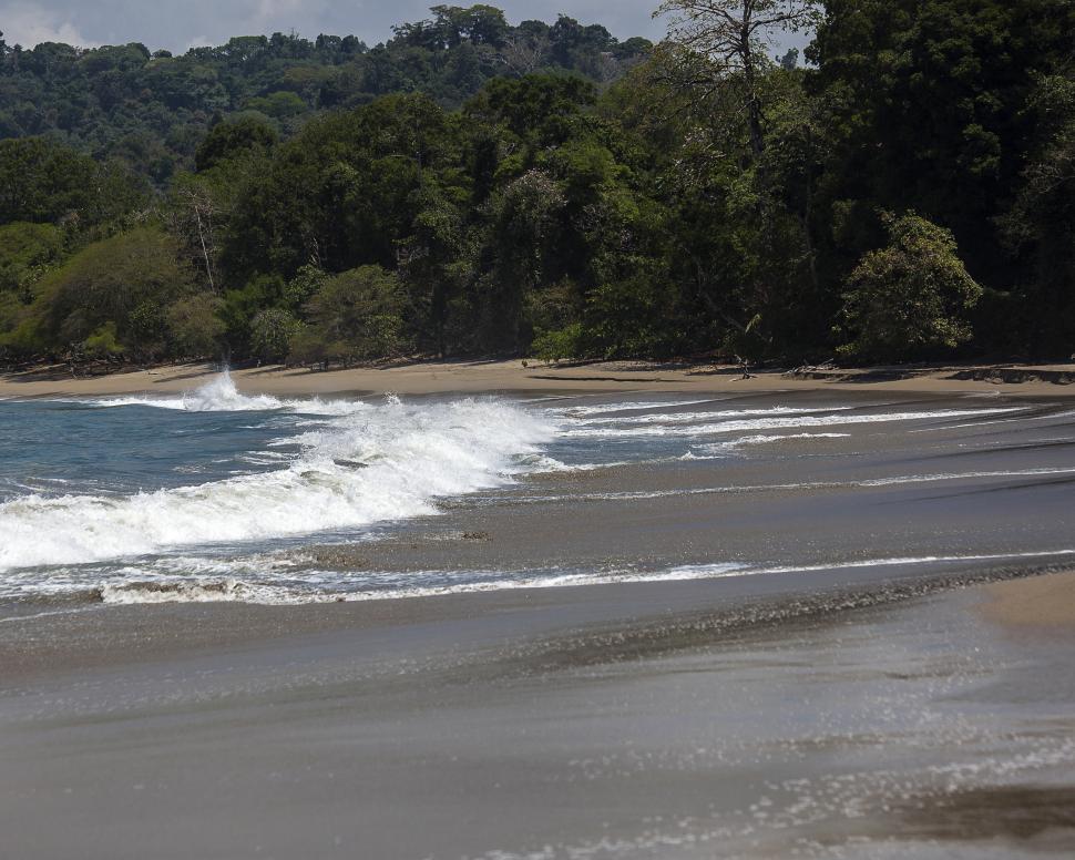 Free Image of Beach 