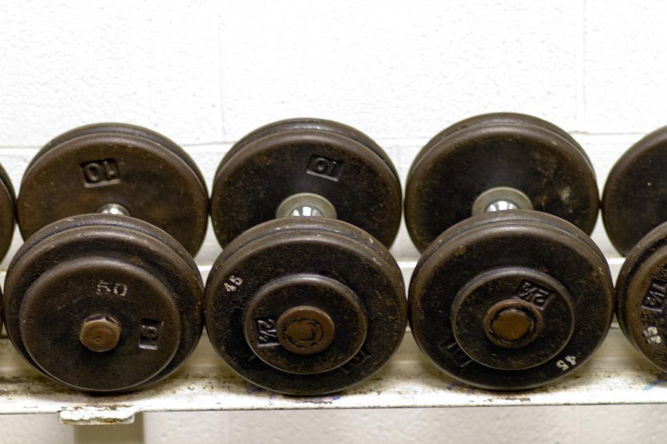 Free Image of Weight training 