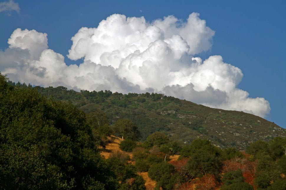 Free Image of Sequoia National Park 
