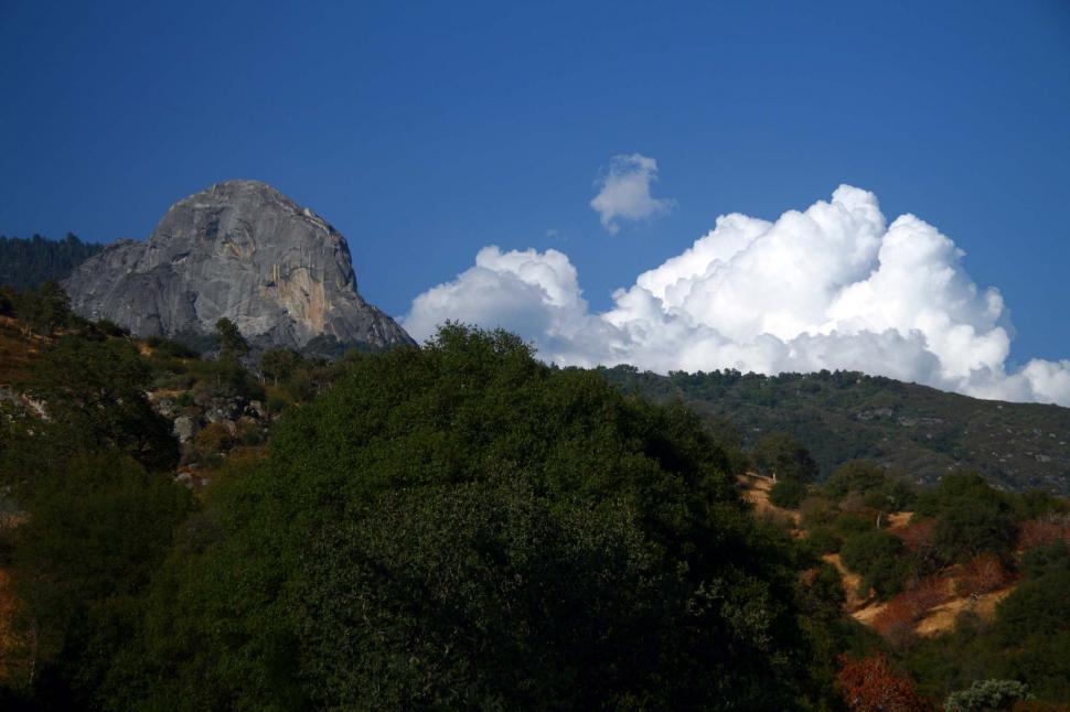 Free Image of Sequoia National Park 