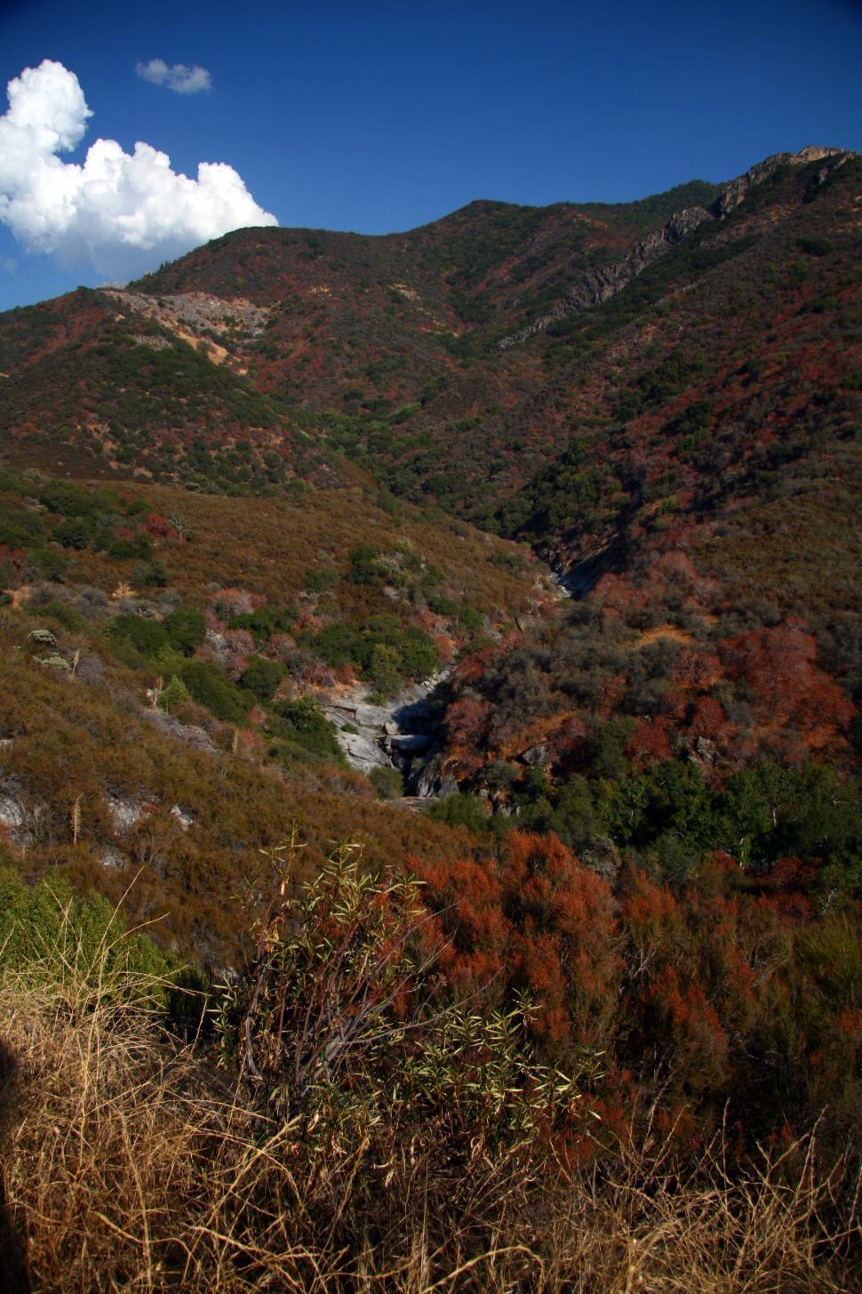 Free Image of Sequoia National Park 