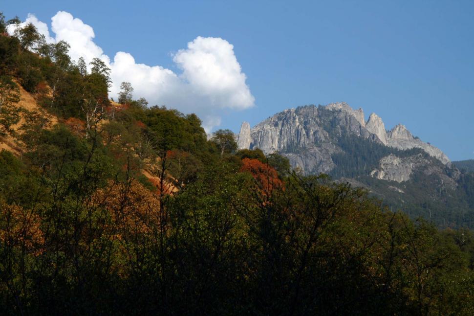 Free Image of Sequoia National Park 