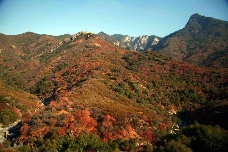 Free Image of Sequoia National Forest 