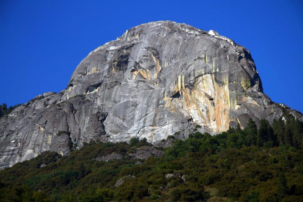 Free Image of Sequoia National Forest 