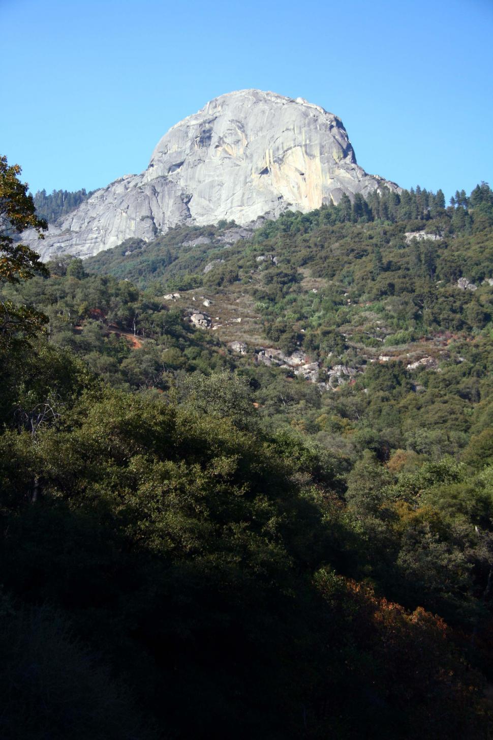 Free Image of Sequoia National Forest 