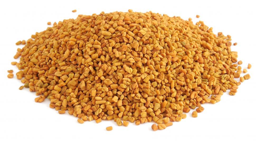 Free Image of Fenugreek 