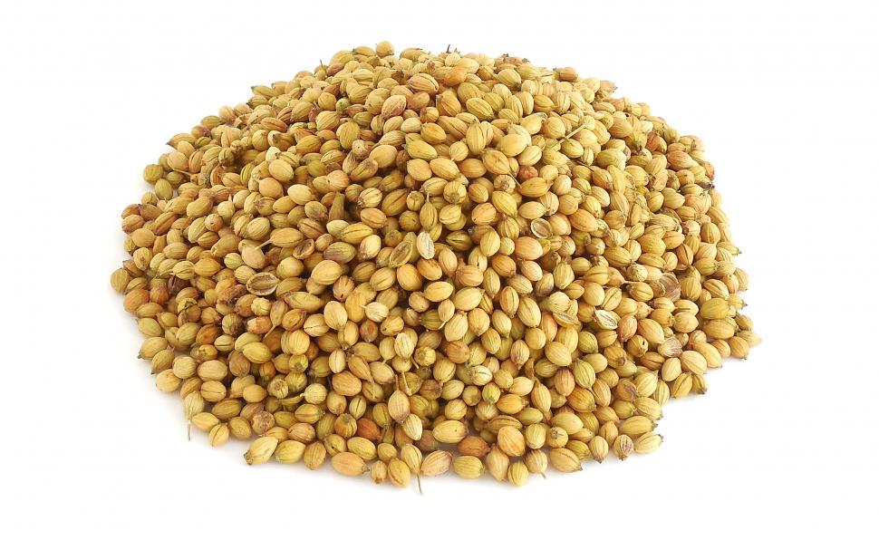 Free Image of Coriander Seeds 