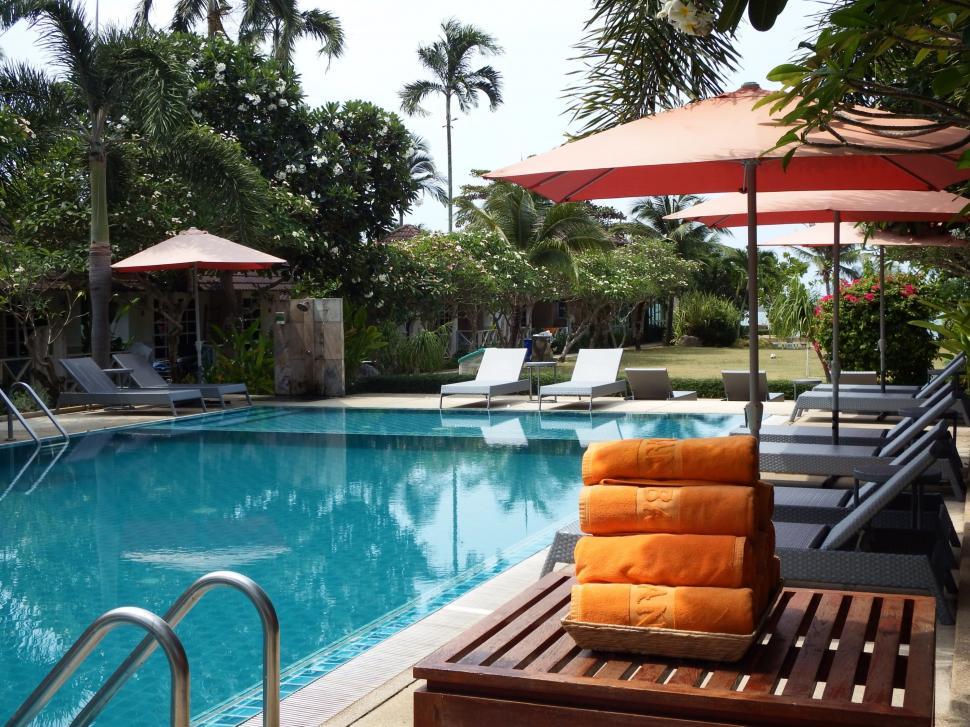 Free Image of Tropical Swimming Pool 