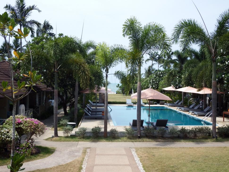 Free Image of Tropical Swimming Pool 