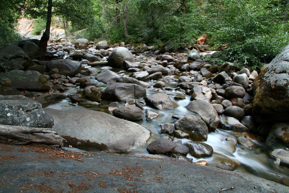 Free Image of Seqouia National Forest 