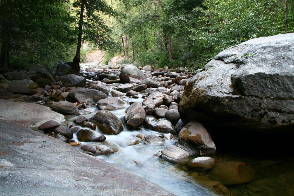 Free Image of Seqouia National Forest 