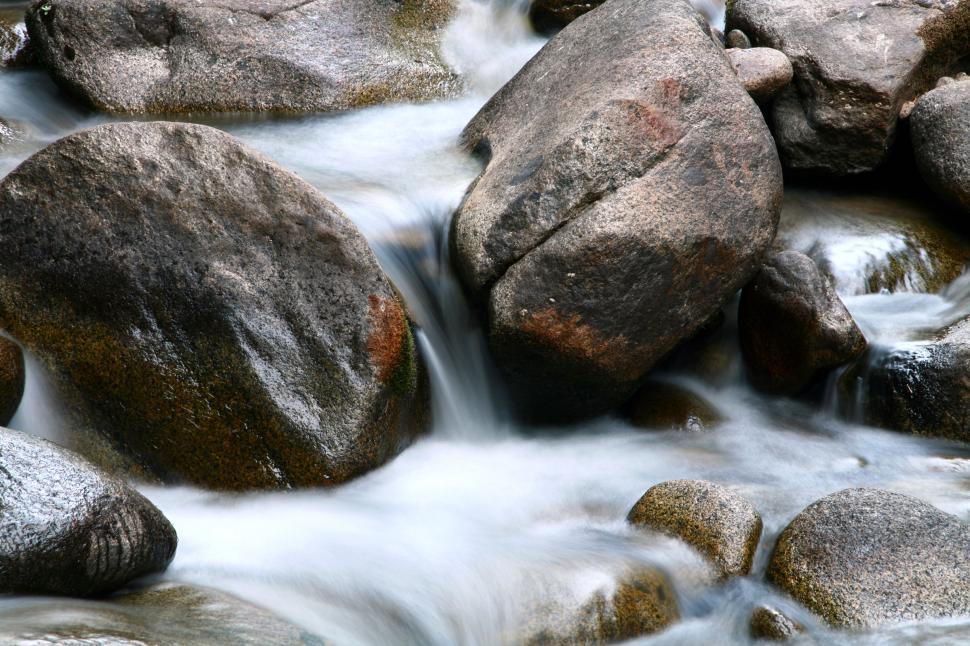Free Image of Seqouia National Forest 