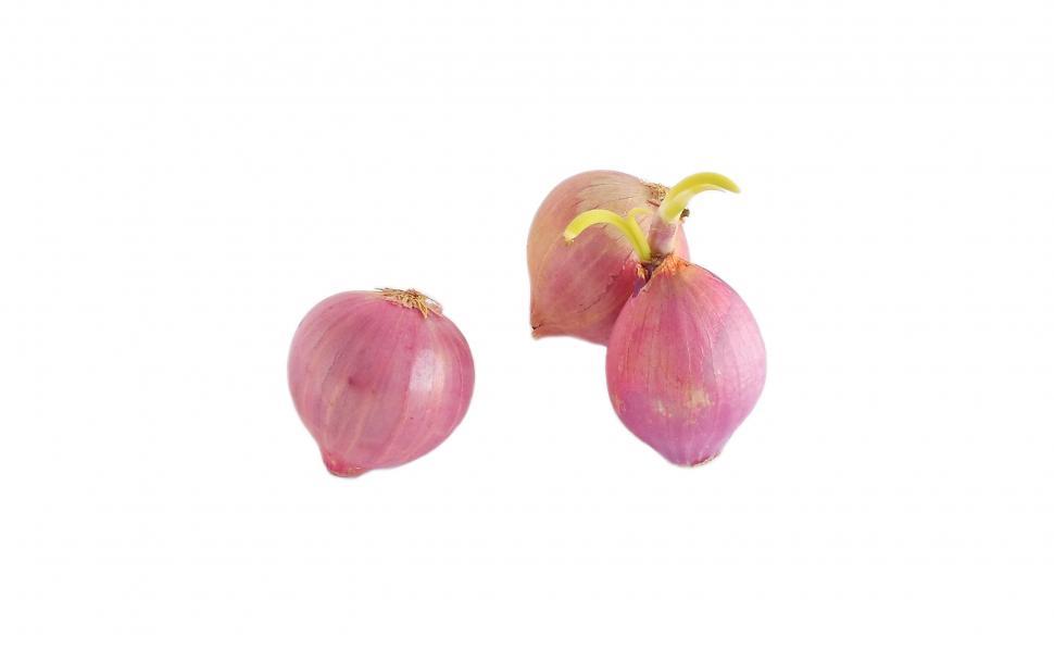 Free Image of Onions 