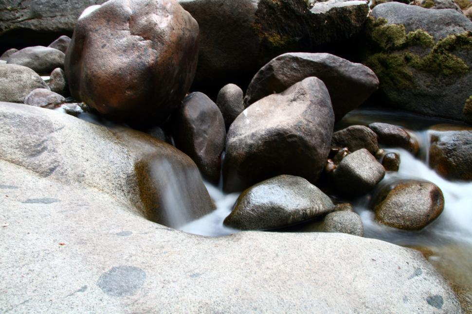 Free Image of Seqouia National Forest 