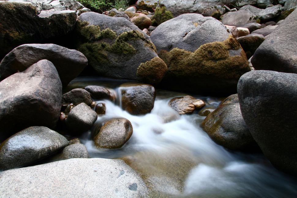 Free Image of Seqouia National Forest 