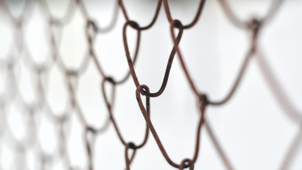 Free Image of Wire-mesh fence detail 