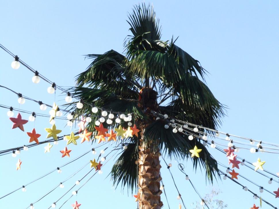 Free Image of Christmas 