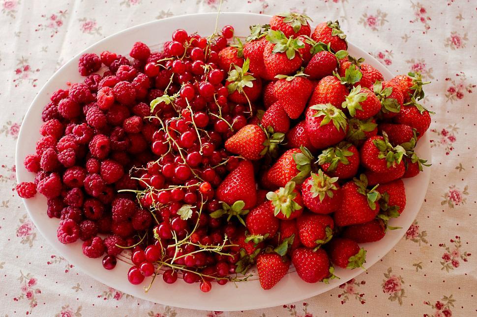 Free Image of Red berries 