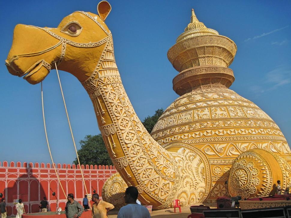 Free Image of Camel 
