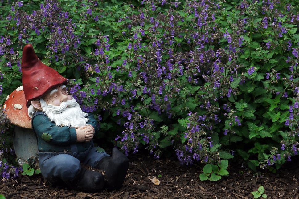 Free Image of Gnome Sleeping 
