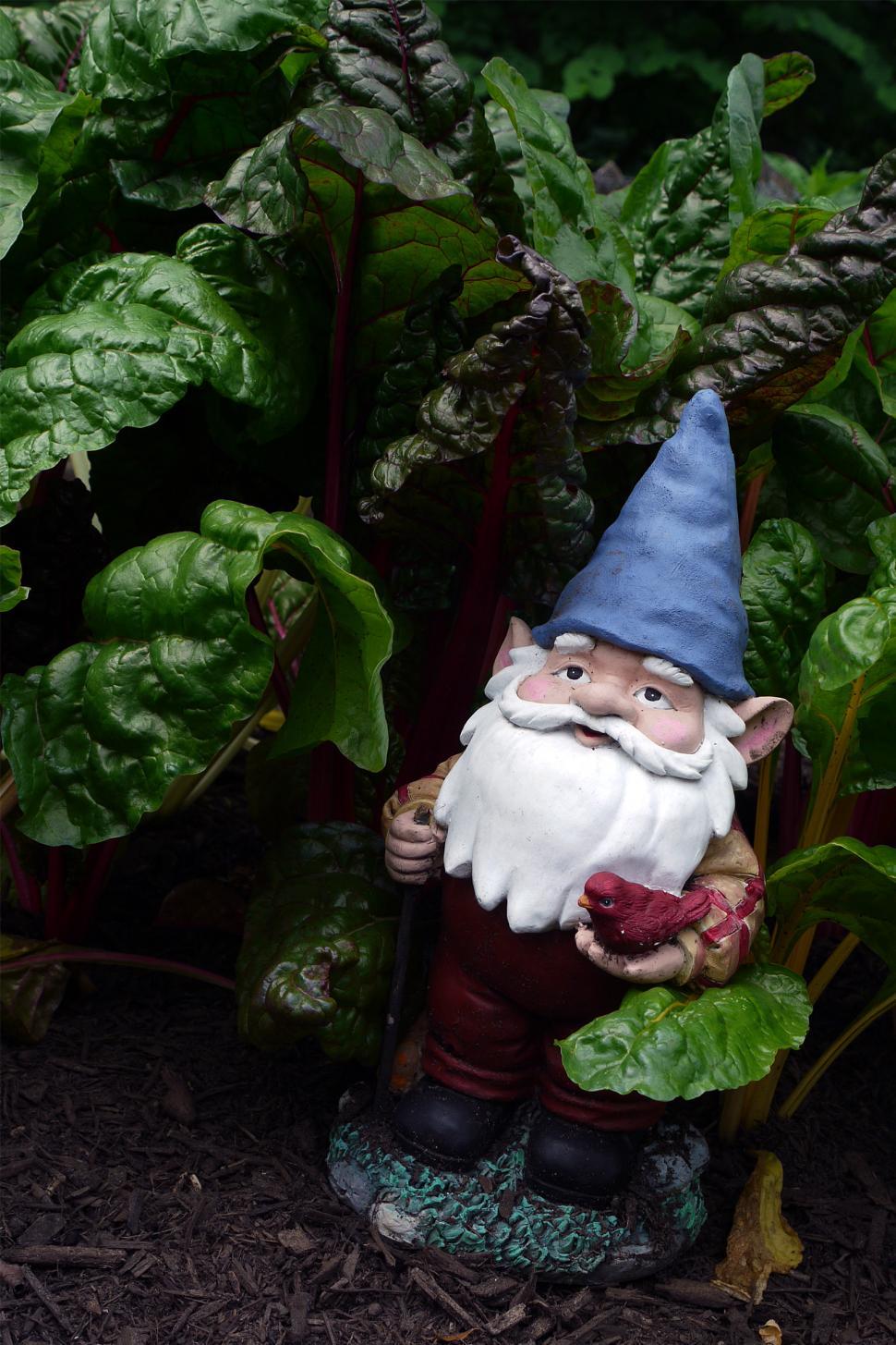 Free Image of Gnome In A Garden 