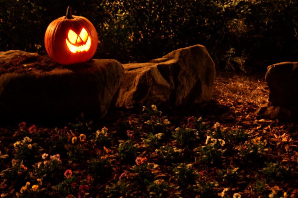Free Image of A Halloween jack-o-lantern on a rock 