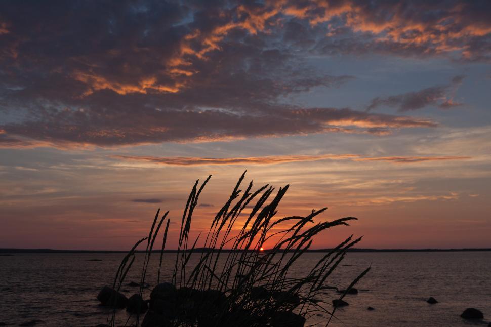 Free Image of Ocean Sunset 