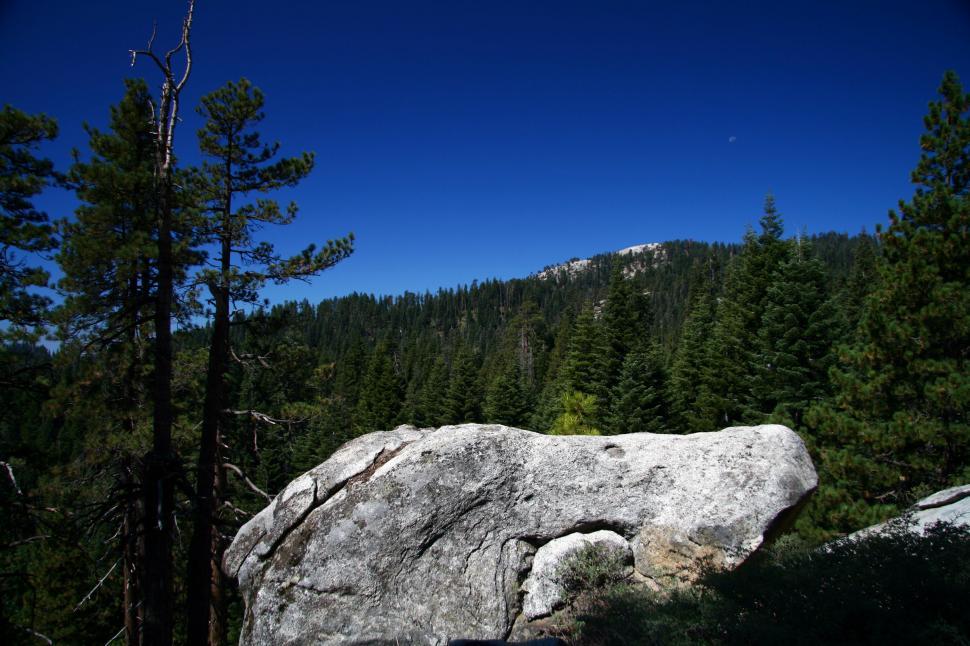 Free Image of Seqouia National Forest 