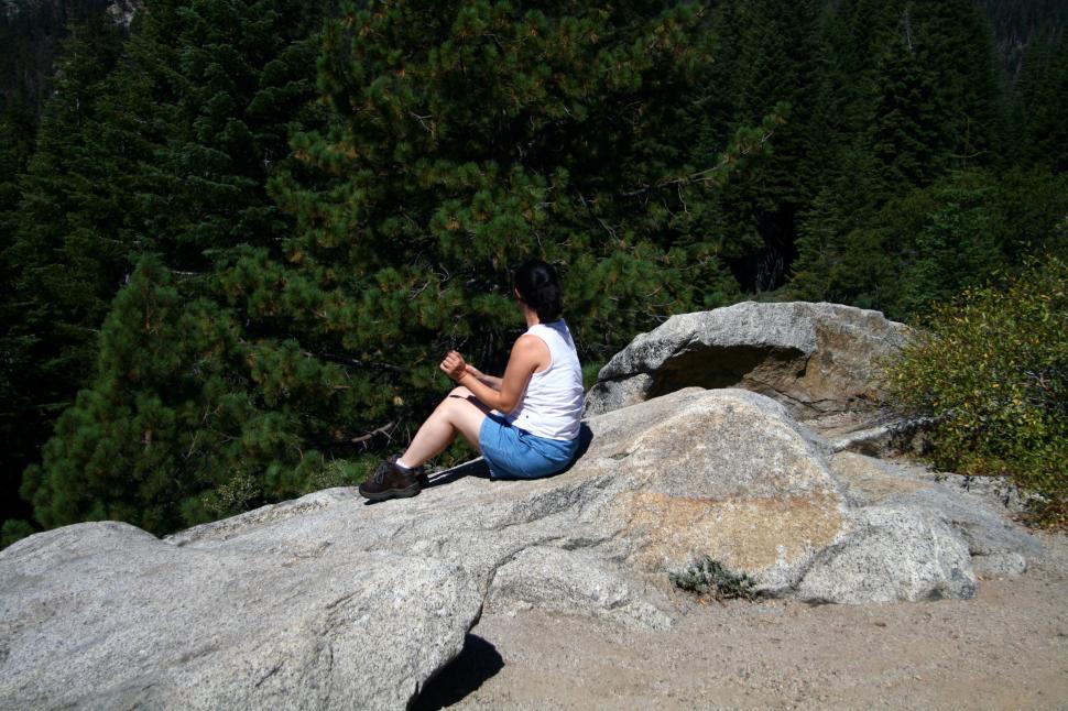 Free Image of Seqouia National Forest 