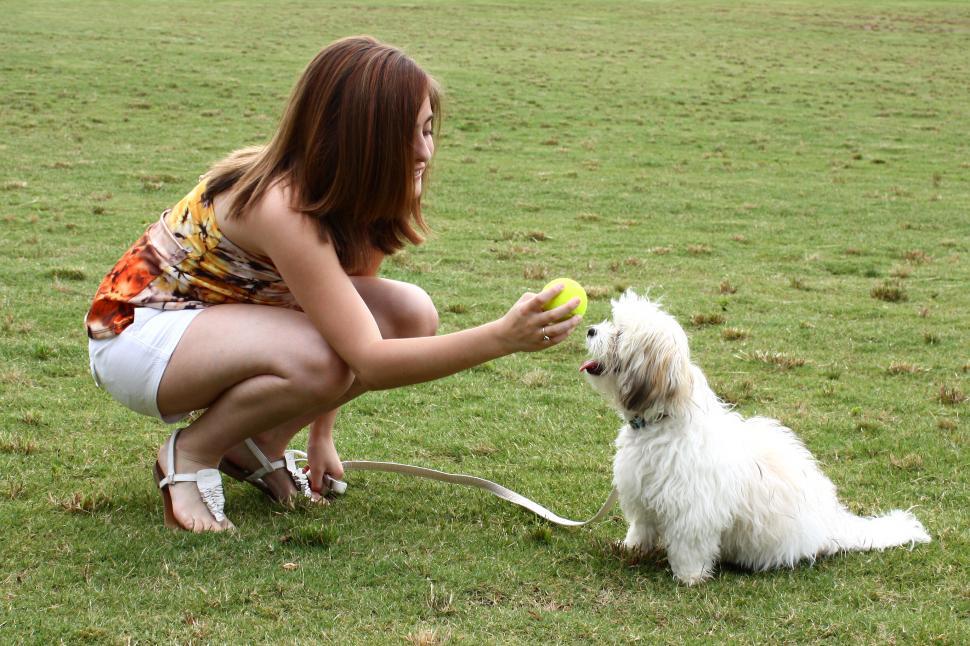 Free Image of A cute young girl playing with her dog 