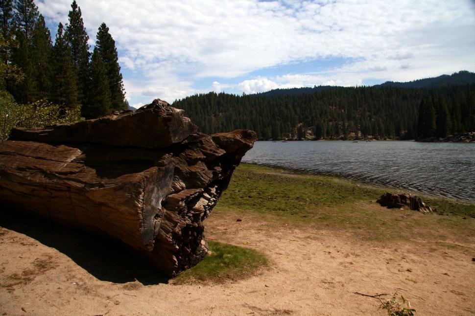 Free Image of Sequoia National Forest 