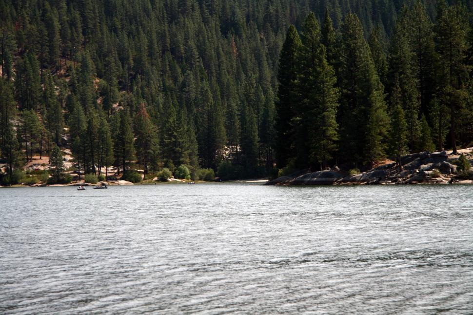 Free Image of Sequoia National Forest 