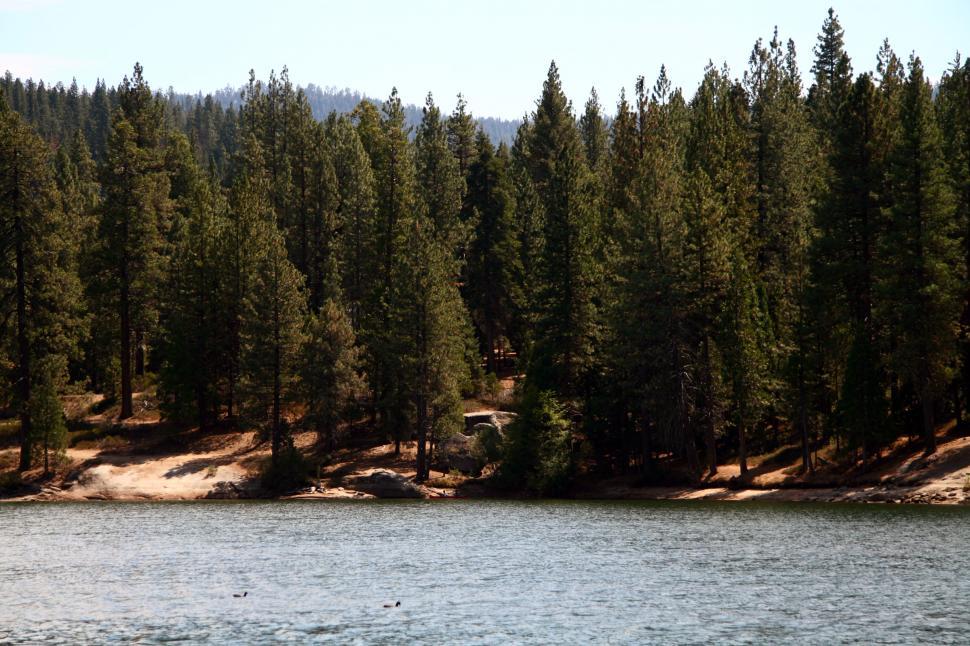 Free Image of Sequoia National Forest 